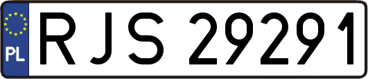 RJS29291