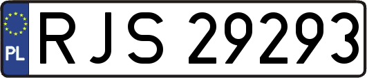 RJS29293