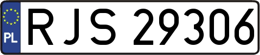 RJS29306