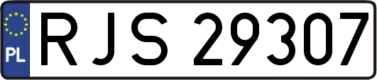 RJS29307