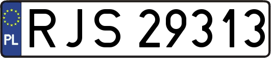 RJS29313