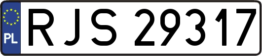 RJS29317