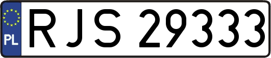 RJS29333