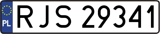 RJS29341