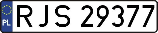 RJS29377