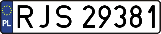 RJS29381