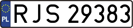 RJS29383