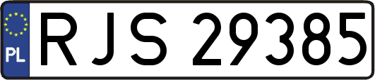 RJS29385