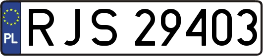 RJS29403