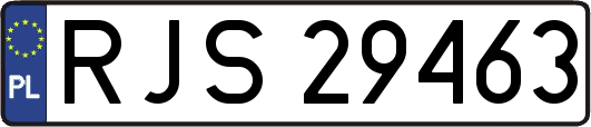 RJS29463