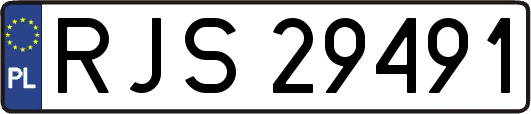 RJS29491
