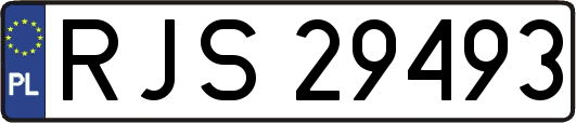 RJS29493