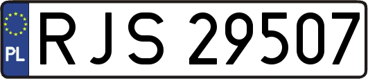 RJS29507