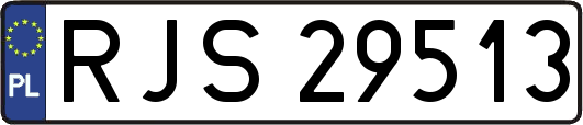 RJS29513