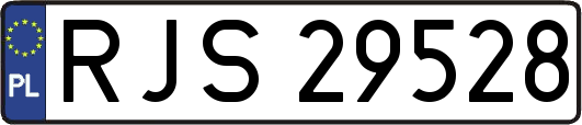 RJS29528