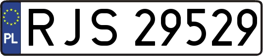 RJS29529