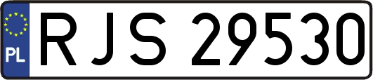 RJS29530
