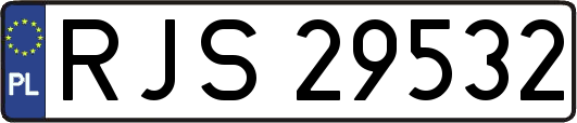 RJS29532