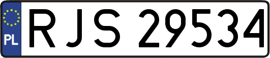 RJS29534