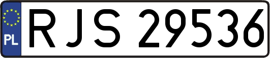 RJS29536