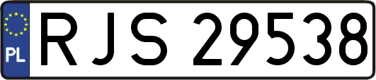 RJS29538