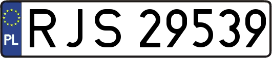 RJS29539