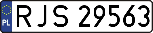 RJS29563