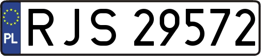 RJS29572