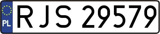 RJS29579