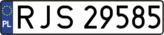 RJS29585