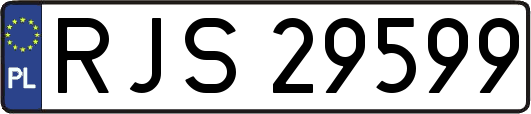 RJS29599