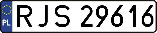 RJS29616
