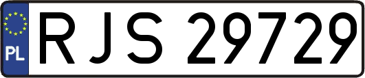 RJS29729