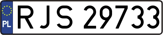 RJS29733