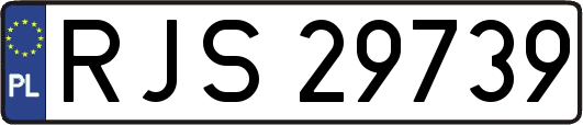 RJS29739