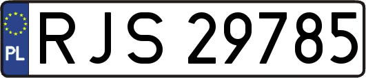 RJS29785