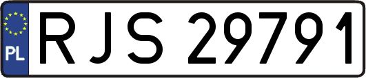 RJS29791