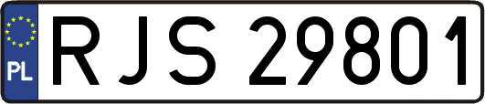 RJS29801