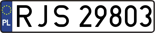 RJS29803