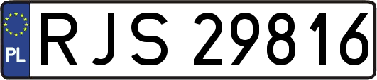 RJS29816