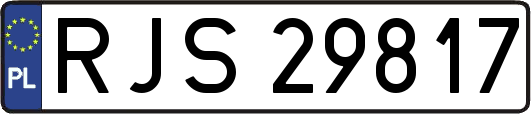 RJS29817