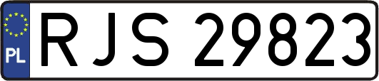 RJS29823