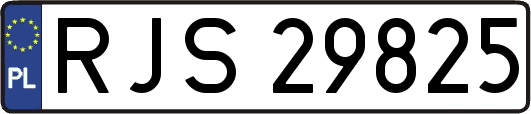 RJS29825
