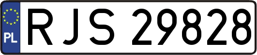 RJS29828
