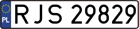 RJS29829