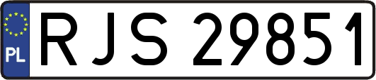 RJS29851