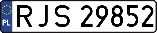RJS29852