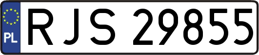 RJS29855
