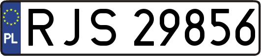RJS29856