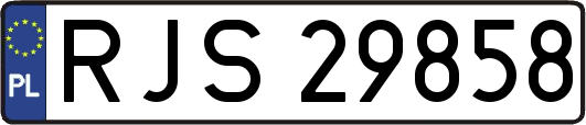 RJS29858